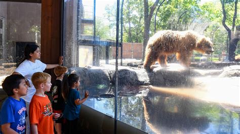 Great plains zoo sioux falls. Things To Know About Great plains zoo sioux falls. 